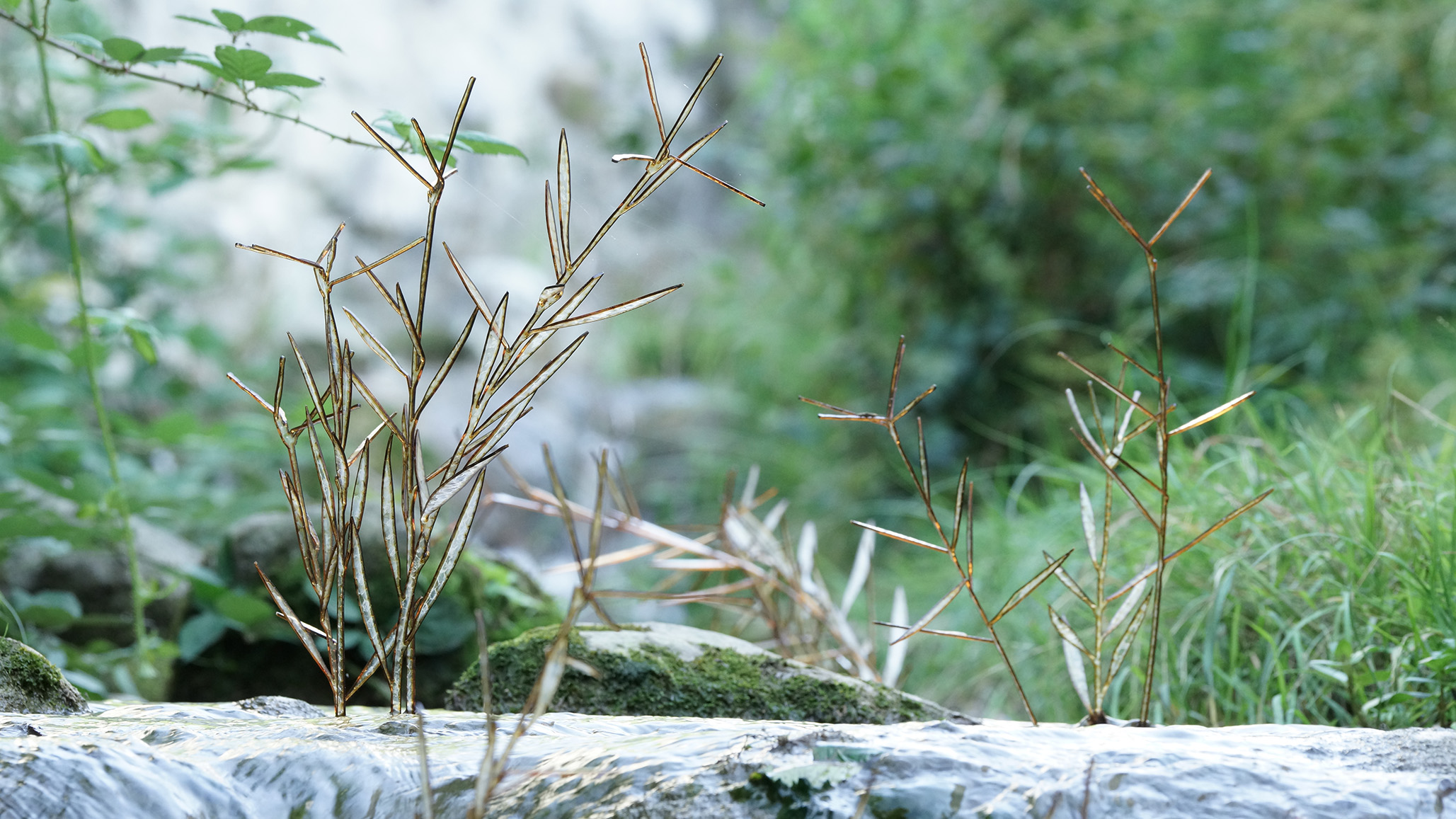 Ortsbild von pièce de résistance